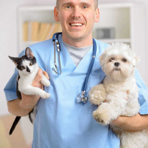 Ветеринар с кошкой и собакой